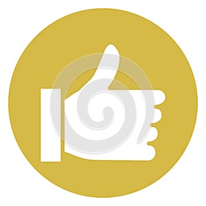 Confirm Isolated Vector Icon which can easily modify