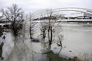 Confluence Bridge