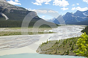 The confluence of Glacier river and the Howse River