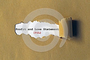 profit and loss statement on white paper