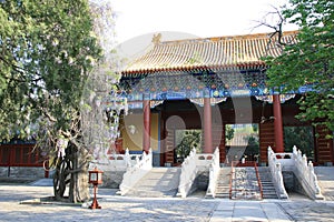 Confucius temple - Beijing - China (4) photo