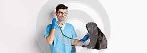 Confused male doctor veterinarian checking dog with stethoscope, looking puzzled, standing over white background