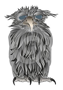 Confused old owl