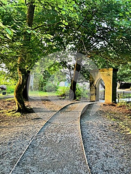 Cong Woods in Mayo & Galway, Ireland