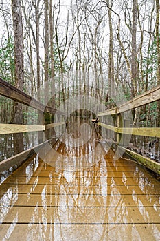 Congaree National Park