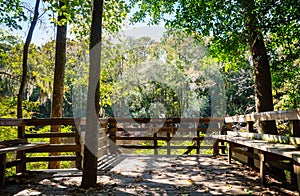 Congaree National Park