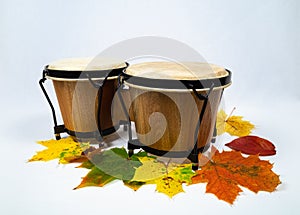Congas percussion