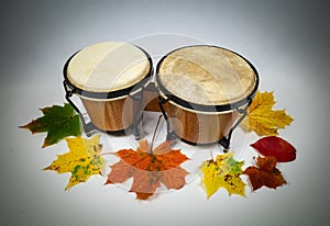 Congas percussion