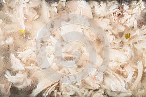 Congealed chicken aspic close up