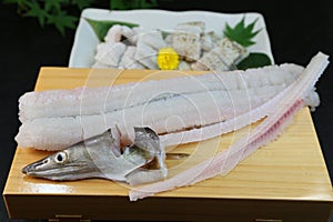 Conger pike is treated as a luxury foodstuff in Japan.