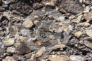 Conglomerate Close-up of a conglomerate stone near lake geneva.