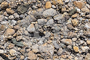 Conglomerate Close-up of a conglomerate stone near lake geneva.