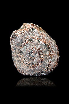 Conglomerate from Delaware bay, Delaware.