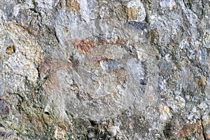 Conglomerate rock closeup texture photo
