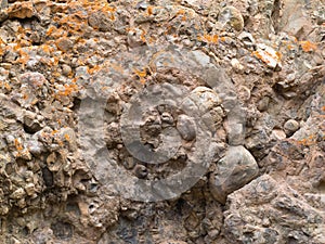 Conglomerate of sedimentary deposit plus lichens photo