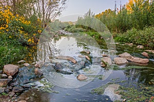 The Congost river during late summer