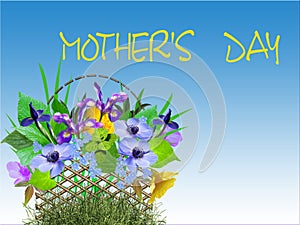 Congratulation on day of mother.