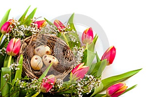 Congratulations on Easter. Bird`s nest with pockmarked eggs and feathers surrounded by flowers. Tulips
