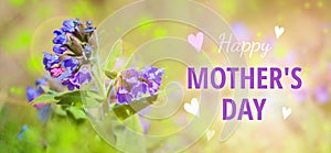 Congratulations Happy Mothers Day - nifty soft colors. Cool present photo