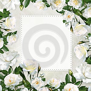 Congratulatory background with space for text or photo surrounded by a border of white roses