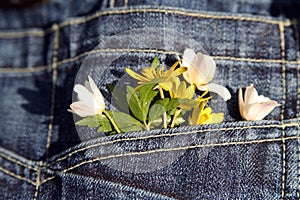 Congratulatory bouquet