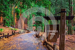 Congress Trail sign in Sequoia National Park