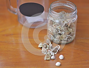 Conical clear plastic water bottle Three leaves, green lid, pink, purple, bright morning light White background