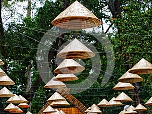 Conical hats against the tree canopy in HCMC Vietnam