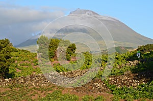 The conical Pico volcano looming over its namesake island Azores archipelago, Portugal