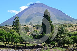 The conical Pico volcano looming over its namesake island Azores archipelago, Portugal