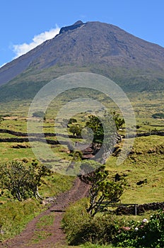 The conical Pico volcano looming over its namesake island Azores archipelago, Portugal