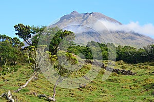 The conical Pico volcano looming over its namesake island Azores archipelago, Portugal