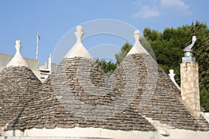 Conical roofs 2 photo