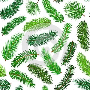 Conifer evergreen pine fir cedar needle branches twigs seamless pattern