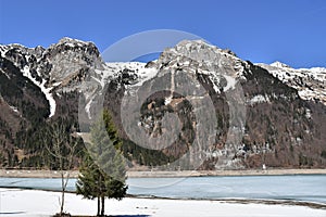 Conifer tree and bare broad-leaved tree close to dry bottom of KlÃÂ¶ntalersee lake photo