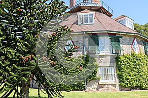 A conifer tree in front of an unusual historic sixteen sided house on a beautiful sunny summers day in Devon, England