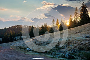 coniferous forest in autumn at sunrise