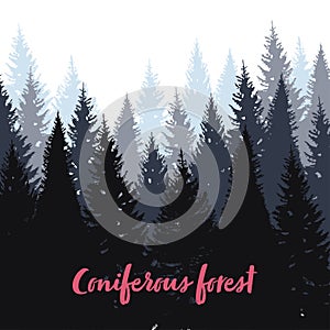Coniferous forest background. Evergreen landscape of Pine, spruce, christmas tree. Vector illustration in hand drawn