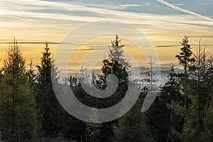 Ihličnatý les, Vysoké Tatry, Slovensko, scéna východu slnka