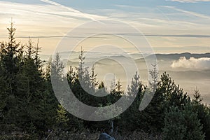 Ihličnatý les, Vysoké Tatry, Slovensko, scéna východu slnka