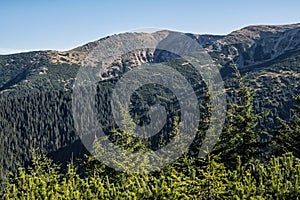 Ihličnatý les, Nízke Tatry, Slovensko