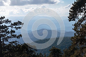 Coniferous forest in the mountains and peaks view