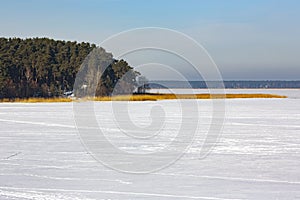 Coniferous forest on the shore of a winter lake under the ice