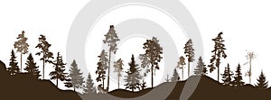 Coniferous forest, silhouette of pine trees and spruces, beautiful landscape. Vector illustration