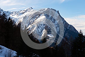 Coniferous forest and snowy mountains of Simplon Pass