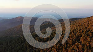 Coniferous forest and Troodos mountains in a picturesque sunset light. Cyprus