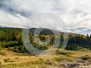 Coniferous forests on the slopes of Mount Vitorog