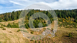 Coniferous forests on the slopes of Mount Vitorog