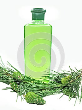 Coniferous green shampoo