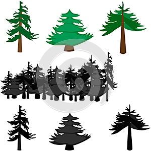 coniferous trees in color and in black tones